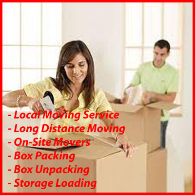 Packers And Movers Noida Sector 73